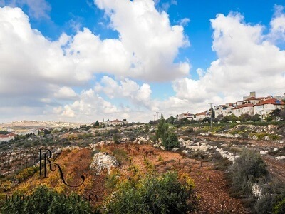תמונה של פרויקט באפרת - בתים ושדה, שמיים כחולים עם עננים