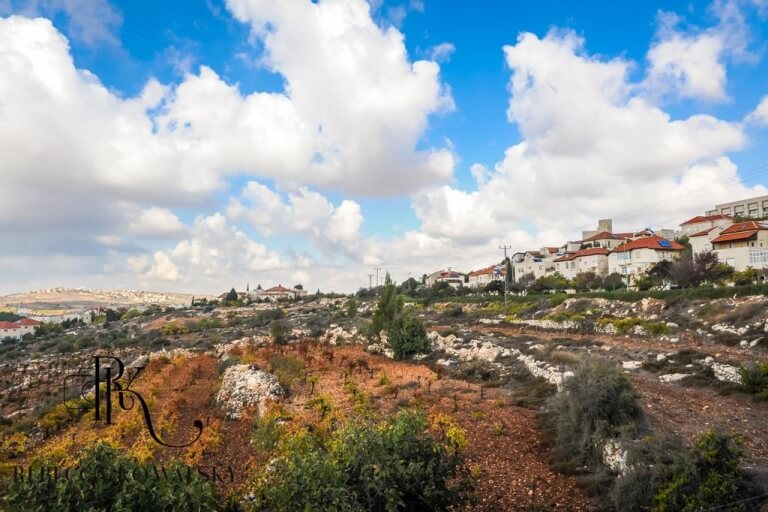 תמונה של פרויקט באפרת - בתים ושדה, שמיים כחולים עם עננים